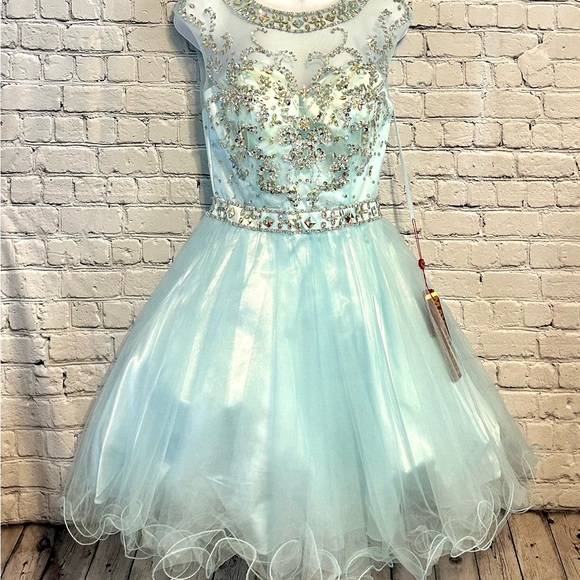 NWT Blue Beaded Illusion Tulle Prom / Formal / Cocktail Dress- Sz 6 - Picture 3 of 15
